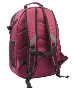 Рюкзак міський модель: College колір: бордо