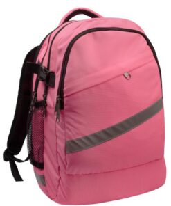Рюкзак міський модель: College колір: рожевий