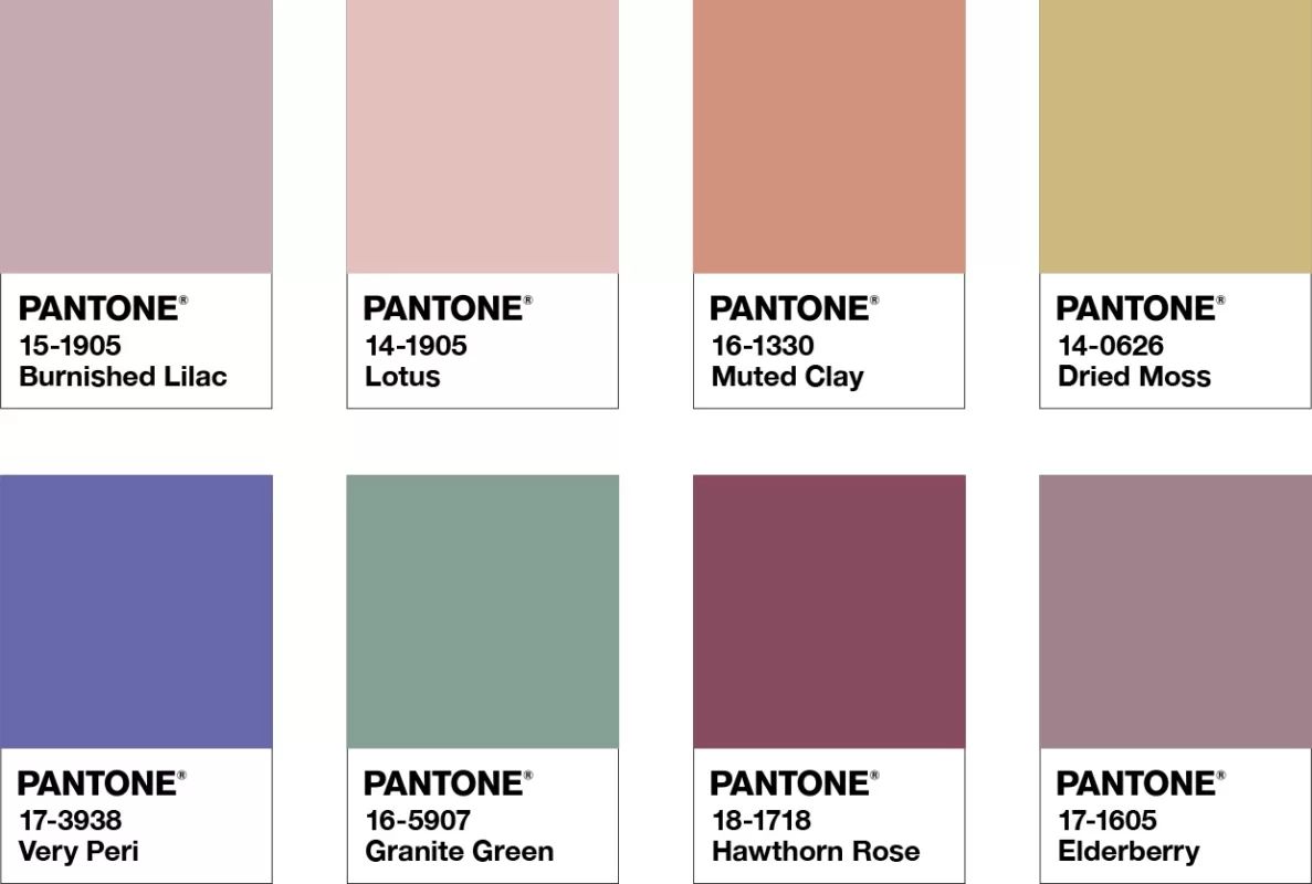 «Кучерява капуста» або відповідь Surikat американському Pantone