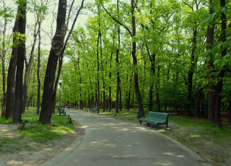 Місця для велопрогулянок_Surikat_Голосіївський Парк